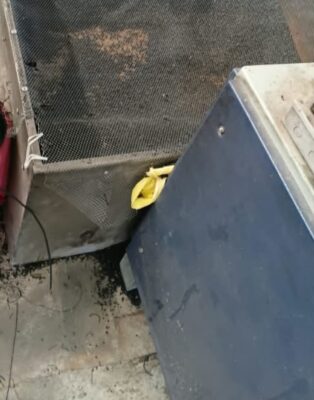 بررسی مشکلات رایج در فرآیند تولید گرانول و راهکارهای مقابله با آنها
